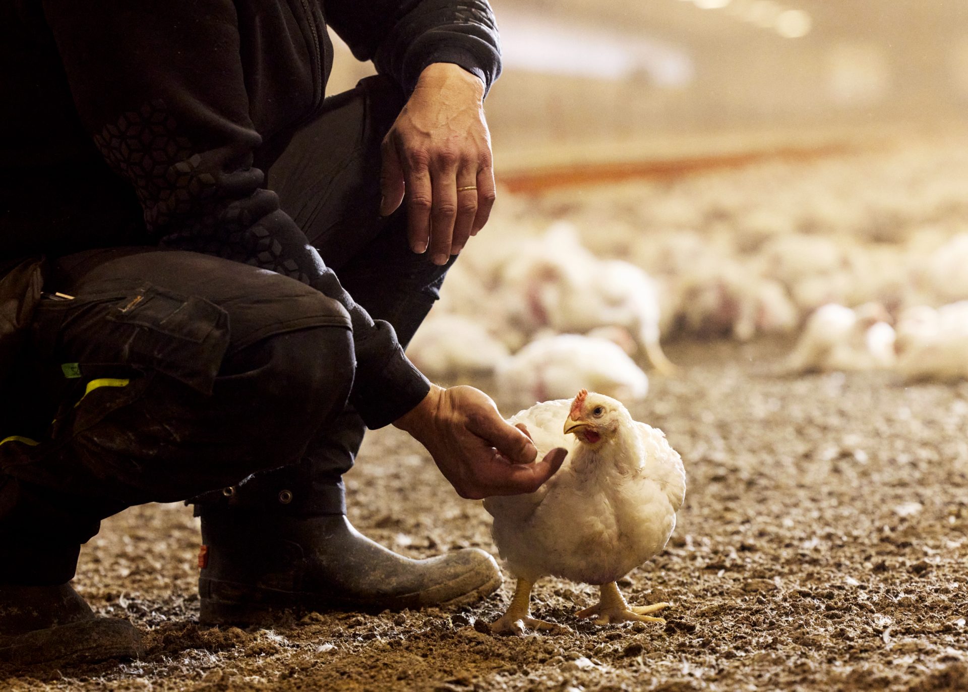 Sürdürülebilir yöntemler uygulaması